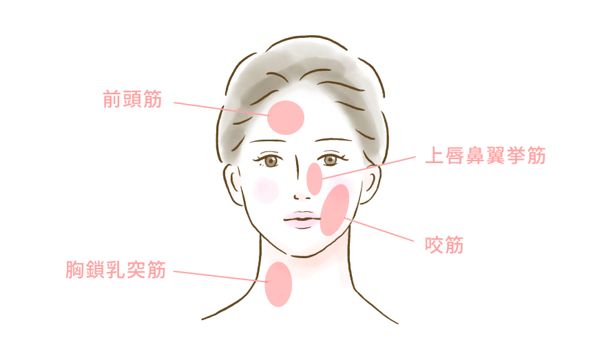 イラスト