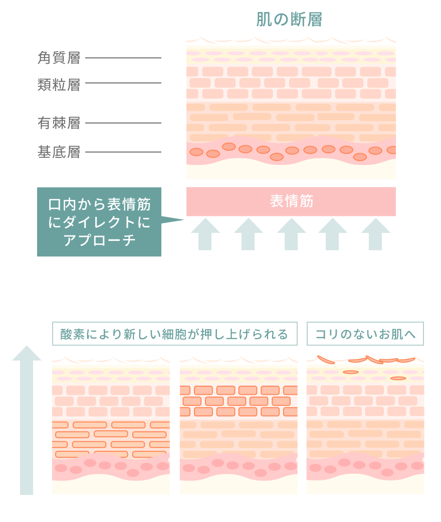 イラスト